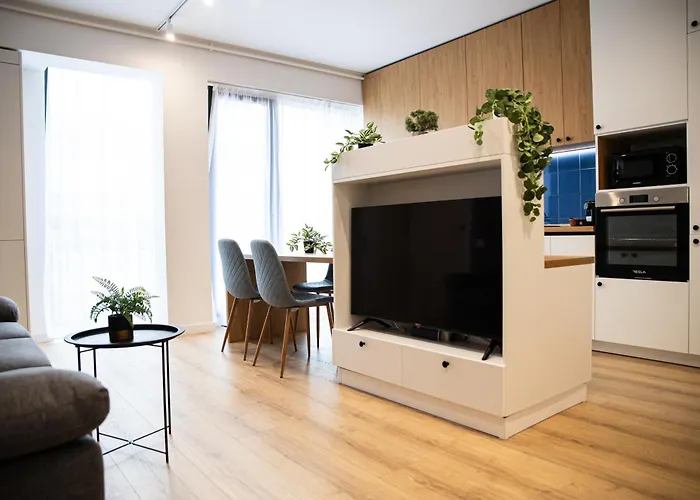 Hasdeu Appartement *